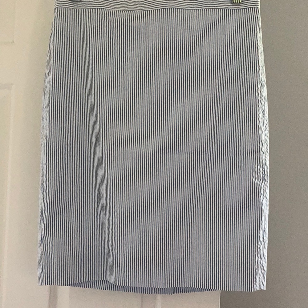 J.Crew NWT skirt. Super cute. Lined size 4